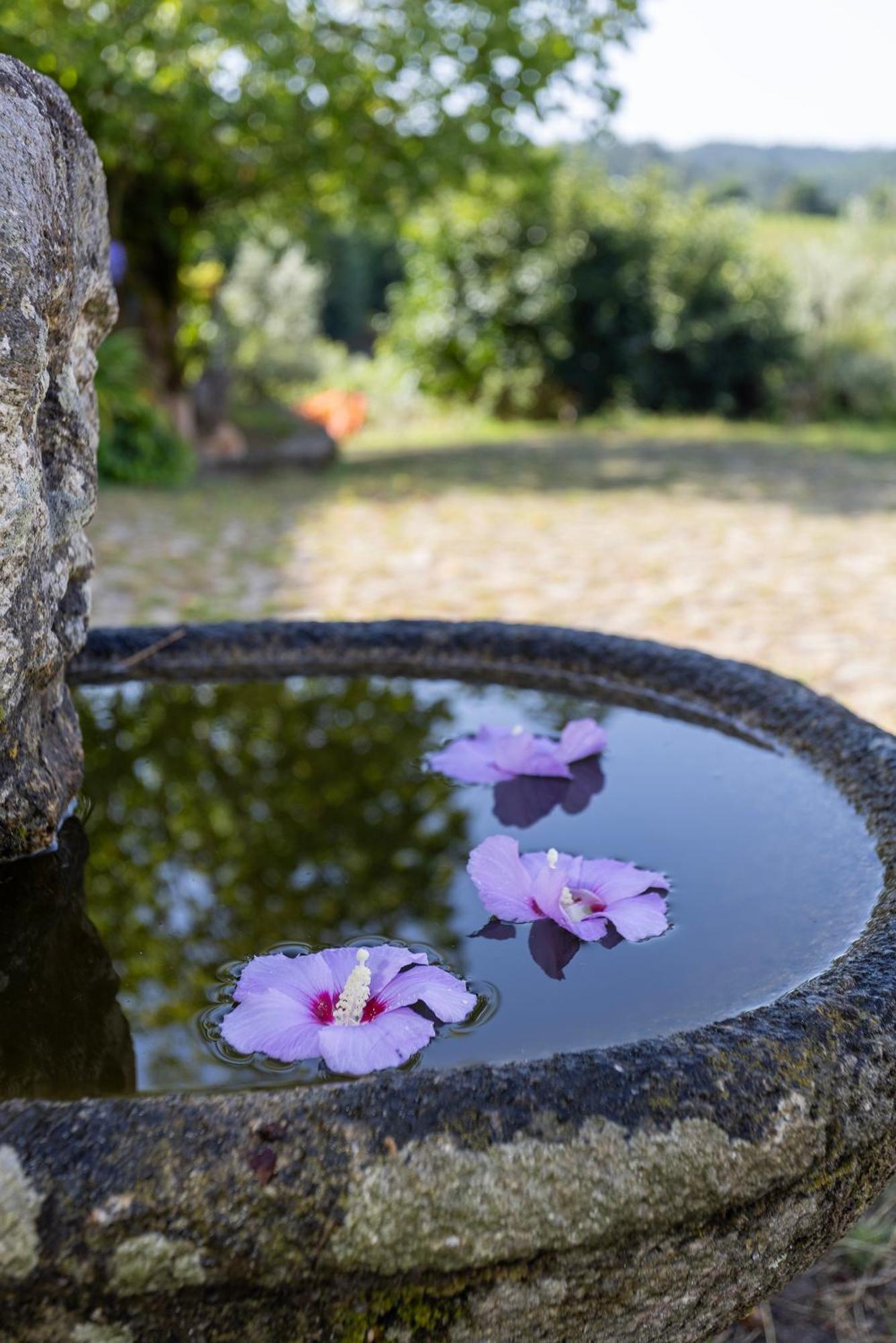 Quinta Da Comenda São Pedro do Sul Zewnętrze zdjęcie