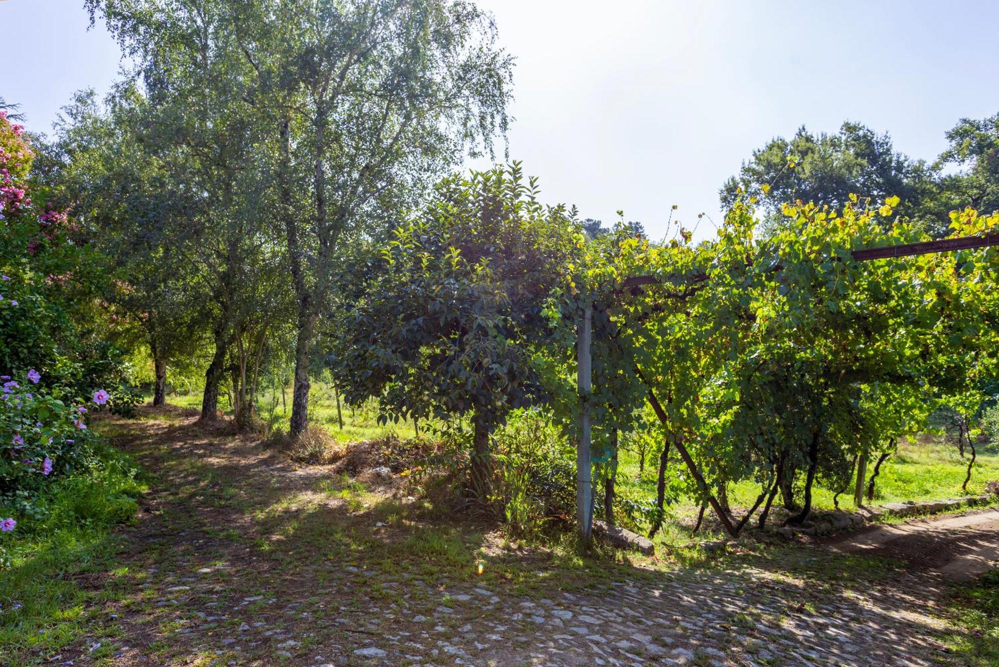 Quinta Da Comenda São Pedro do Sul Zewnętrze zdjęcie