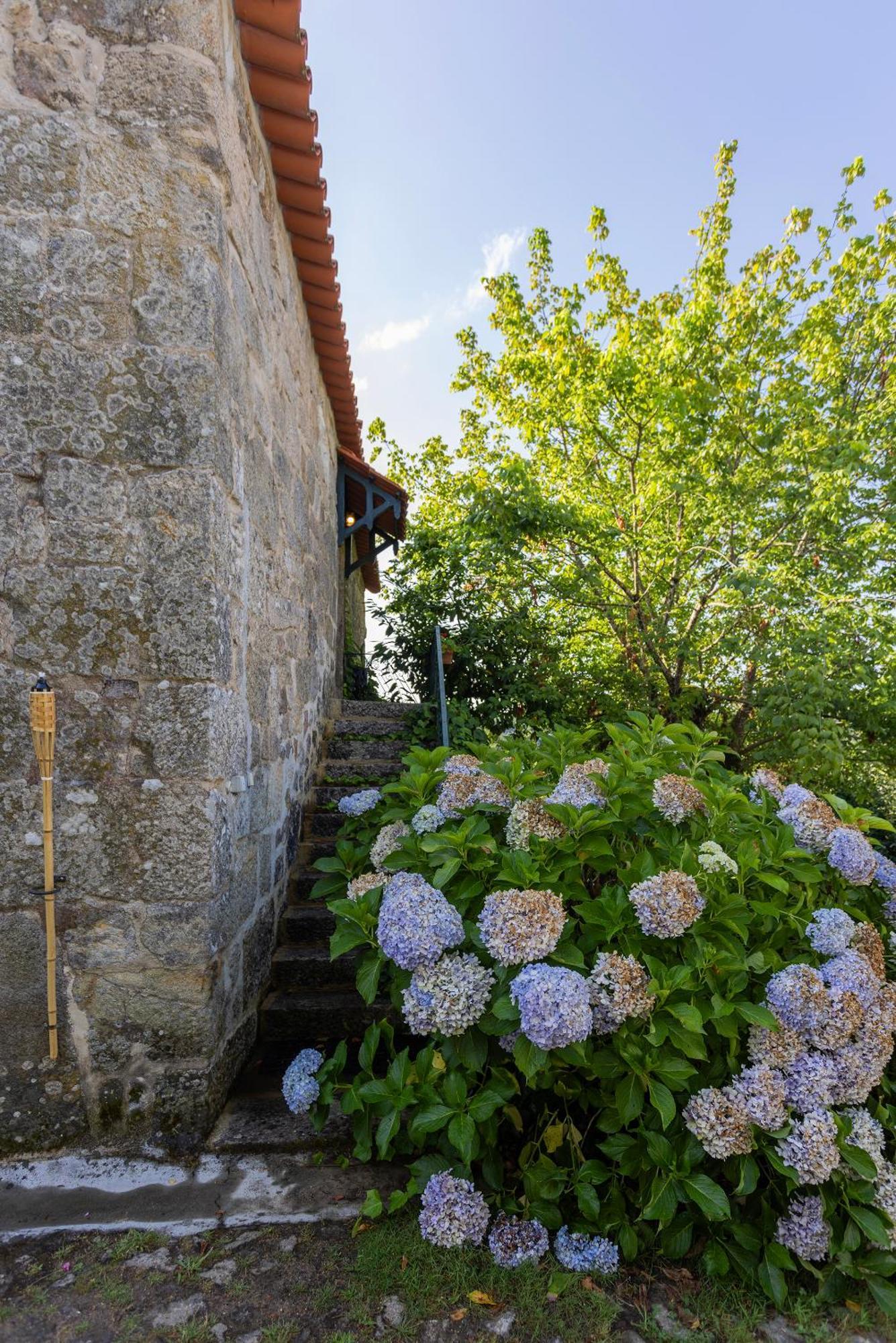 Quinta Da Comenda São Pedro do Sul Zewnętrze zdjęcie